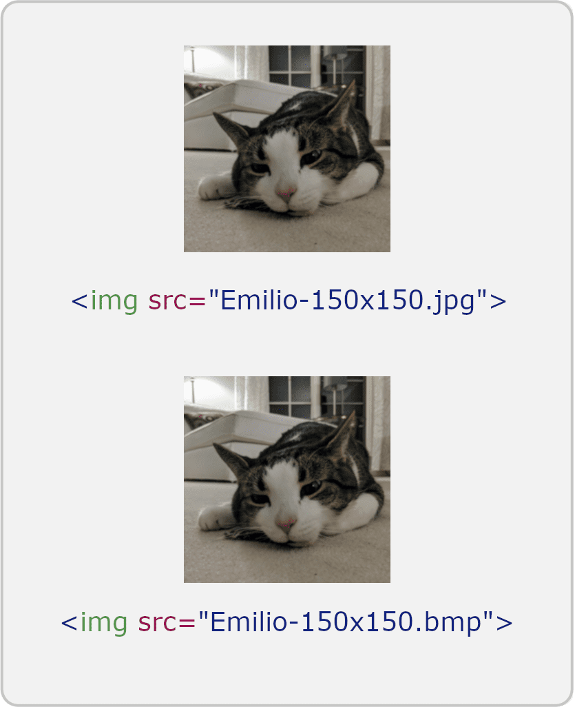 Comparing an optimized image with an unoptimized image.