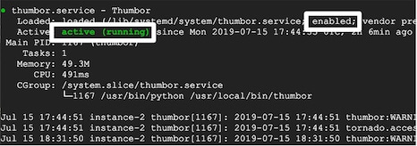Systemctl, отображающий статус Thumbor