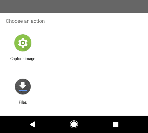 Un menu Android proposant deux options : &quot;Capturer une image&quot; et &quot;Fichiers&quot;