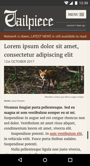 Im Tailpiece werden verschiedene Design-Widgets verwendet, um dem Nutzer mitzuteilen, dass er offline ist.