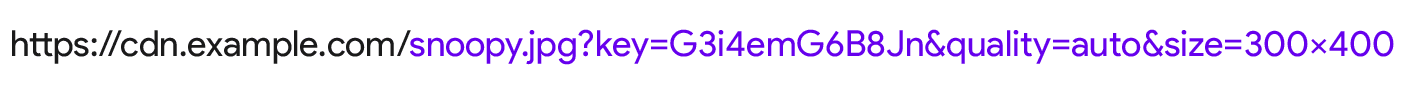 Um URL de CDN de imagem com os parâmetros size=300x400 equality=auto.