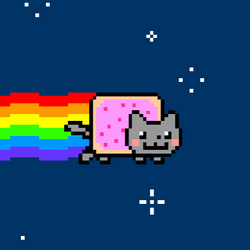 Il famoso Nyan Cat.