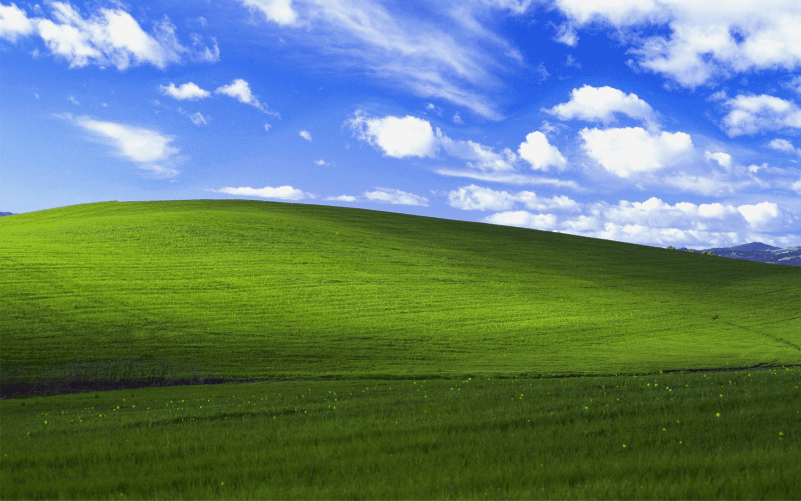 Gambar latar rumput hijau Windows XP yang ikonik.