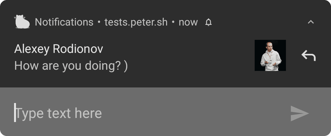 Notification sur Android avec un espace réservé personnalisé pour le champ de saisie de texte.