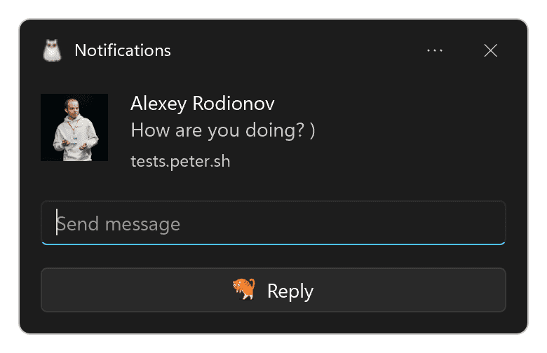 Notification on Windows with a text input field and a reply action button.