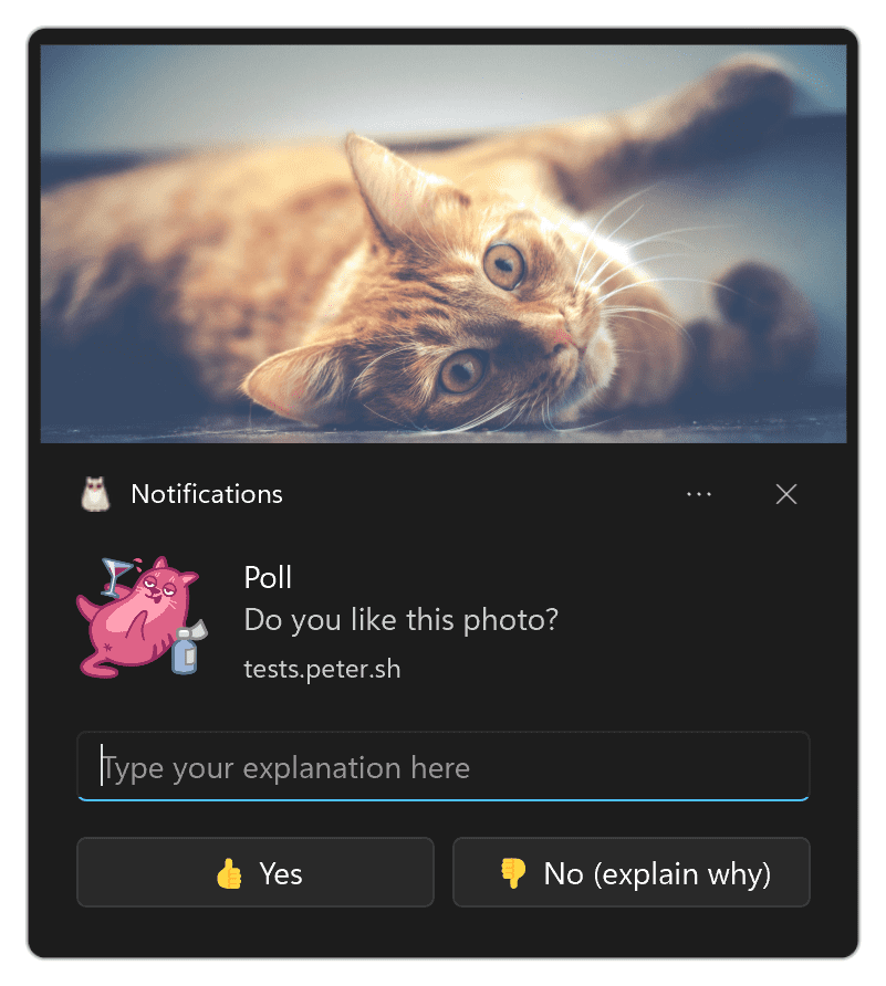 Notification sous Windows avec un champ de saisie de texte et deux boutons d&#39;action.