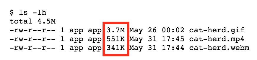 Confronto delle dimensioni dei file che mostra 3,7 MB per il file GIF, 551 KB per il file MP4 e 341 KB per il file WEBM.