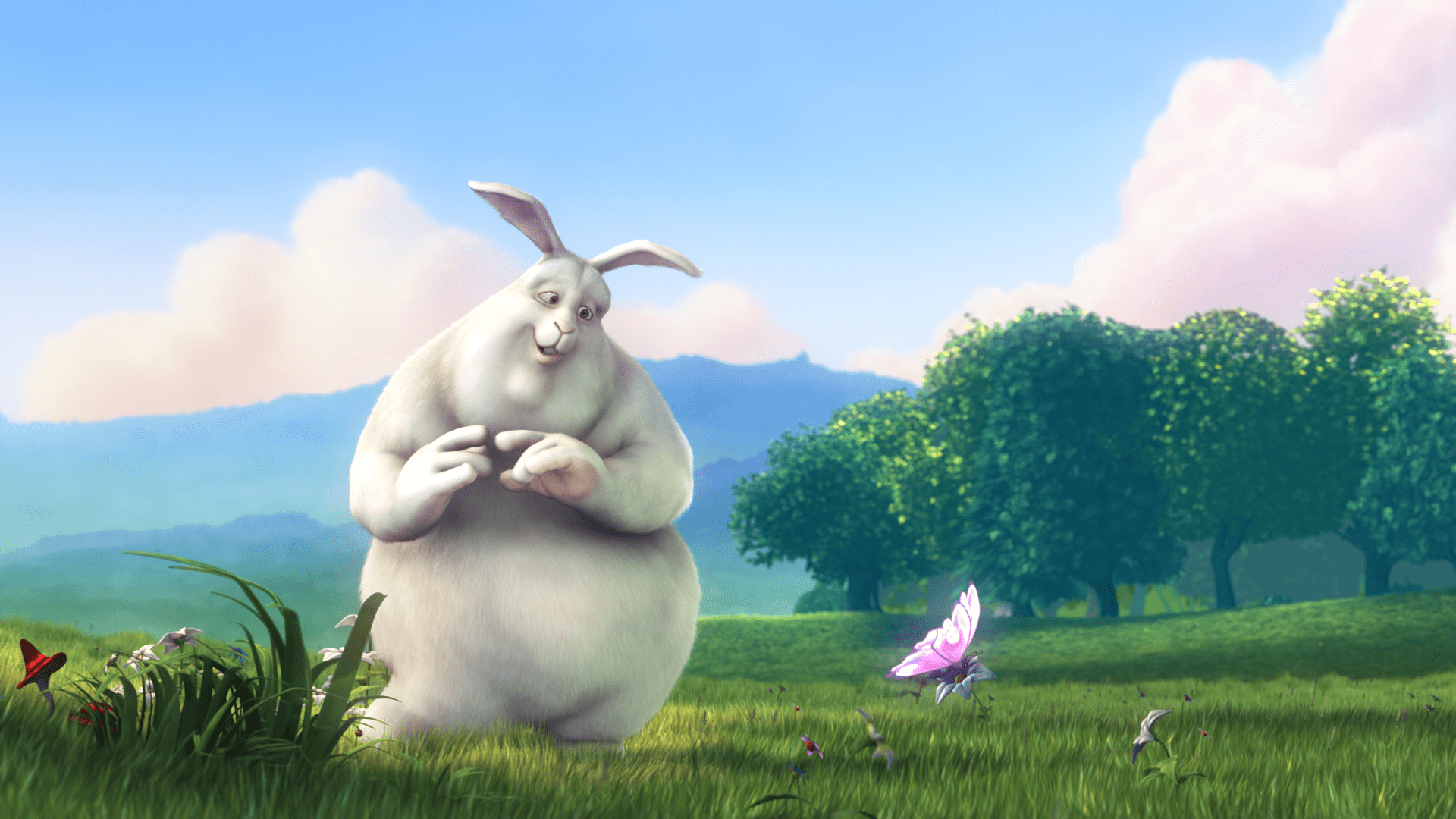 Image de film de lapin.