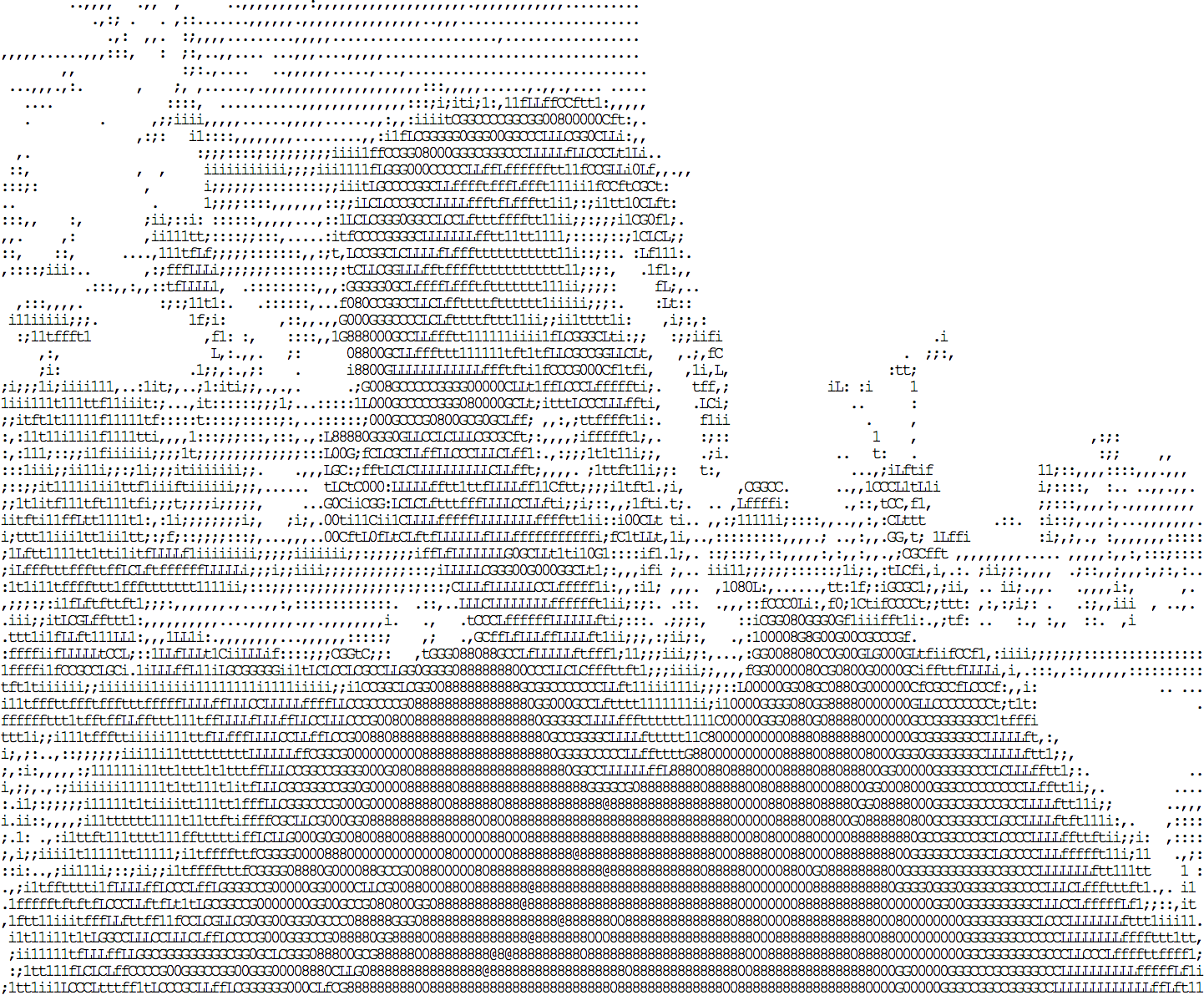 Gambar ASCII yang dihasilkan oleh idevelop.ro/ascii-camera