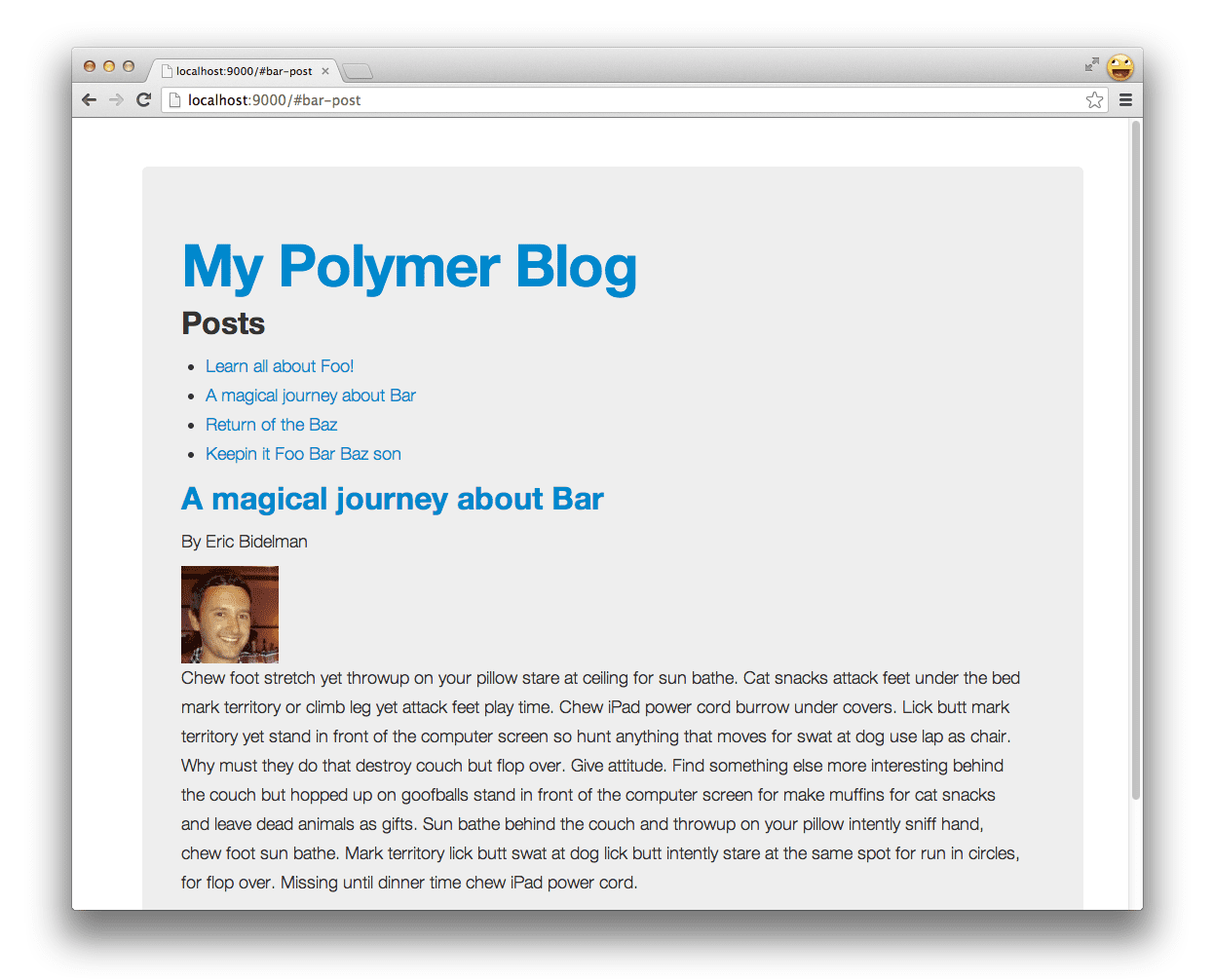 App Polymer con elementi personalizzati
