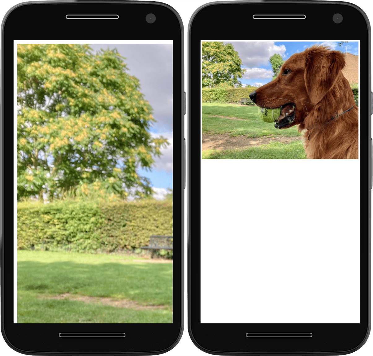 لقطتا شاشة، تعرض الأولى صورة تتخطى عرض المتصفح، بينما تعرض الصورة الثانية الصورة نفسها المحدودة داخل إطار عرض المتصفح.